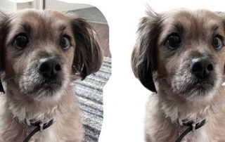 Masking in Photoshop