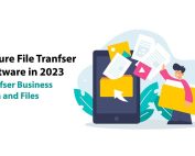 File transfer software