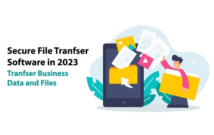 File transfer software
